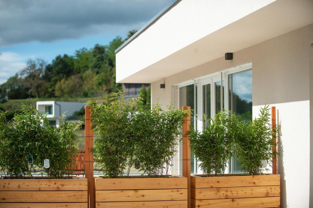 Villa De Roya Rogaška Slatina Екстериор снимка
