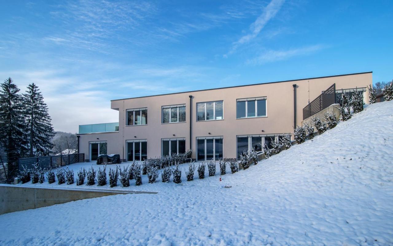 Villa De Roya Rogaška Slatina Екстериор снимка